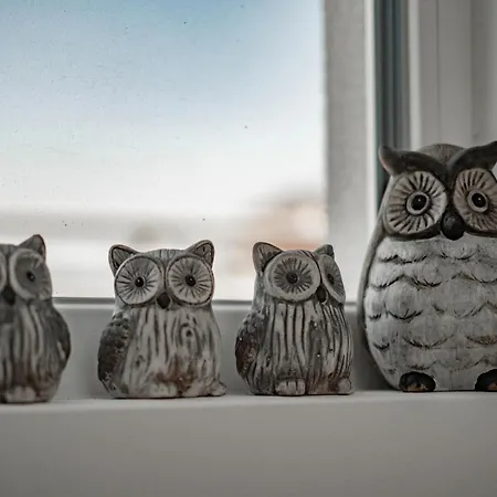 July's 3* 普里莫尔斯科