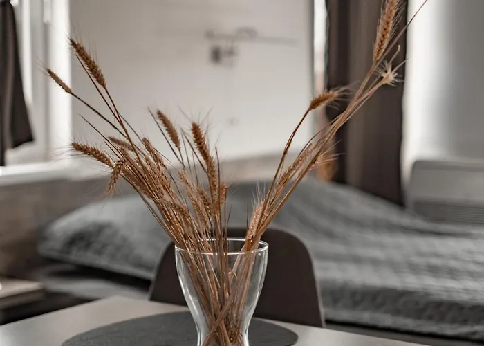 July's Guest house Primorsko